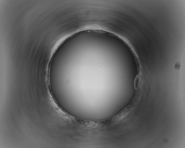 X0000115640815200911241709