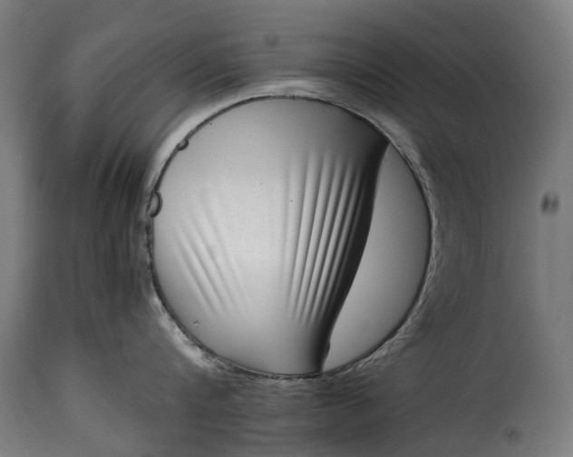 X0000115640816200911241709