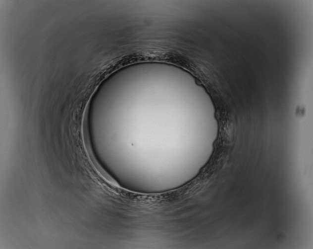 X0000115640817200911241708