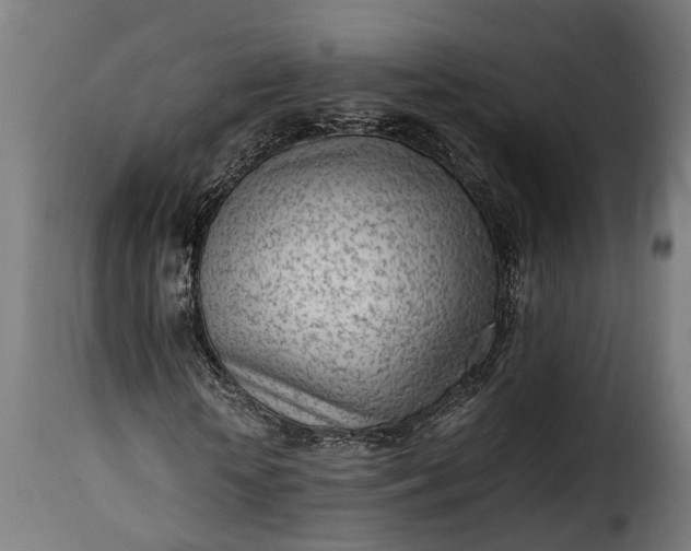 X0000115640818200911241708