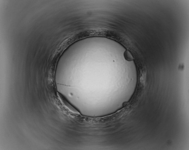 X0000115640819200911241708