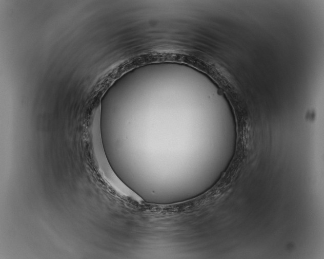 X0000115640821200911241708