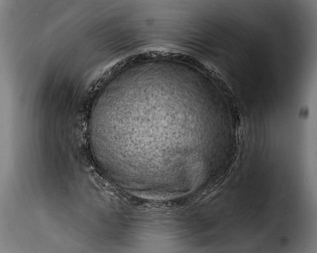 X0000115640822200911241708