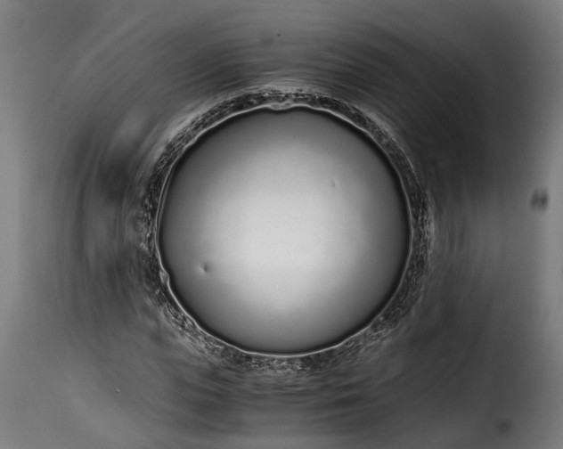 X0000115640823200911241708