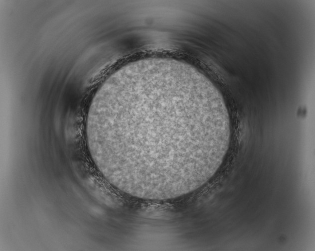 X0000115640824200911241708