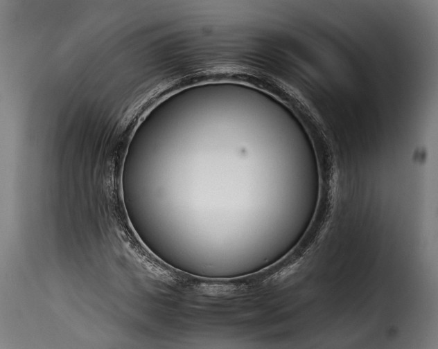 X0000115640825200911241708