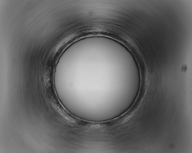 X0000115640826200911241708