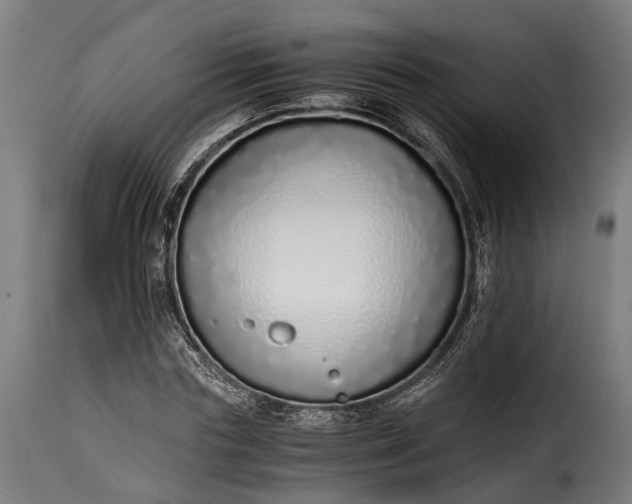 X0000115640827200911241708