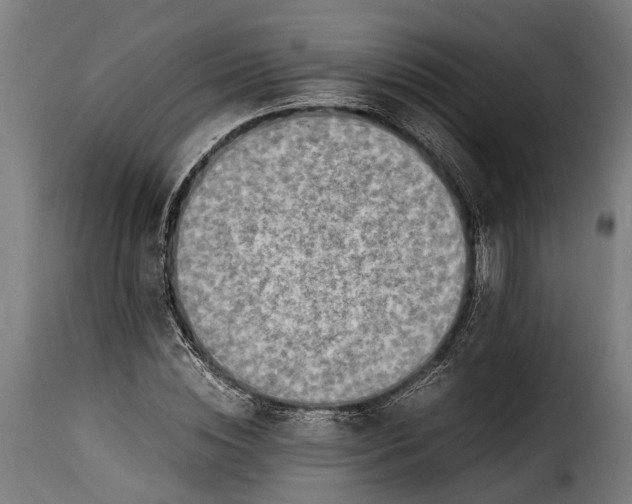 X0000115640828200911241708