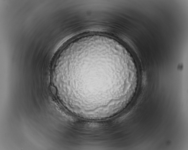 X0000115640829200911241708