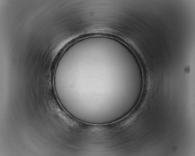 X0000115640830200911241709