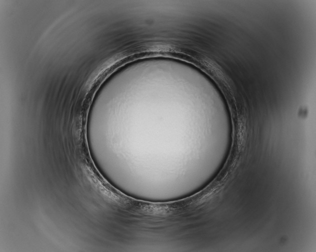 X0000115640831200911241709