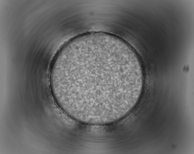 X0000115640832200911241709