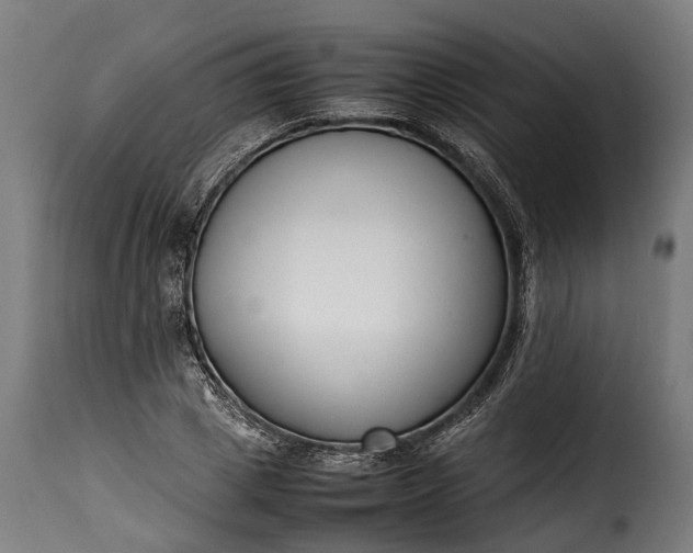 X0000115640833200911241709