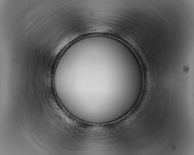 X0000115640834200911241709