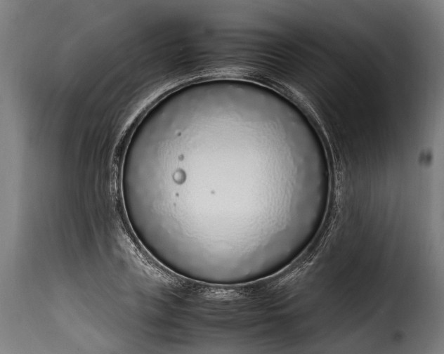 X0000115640835200911241709