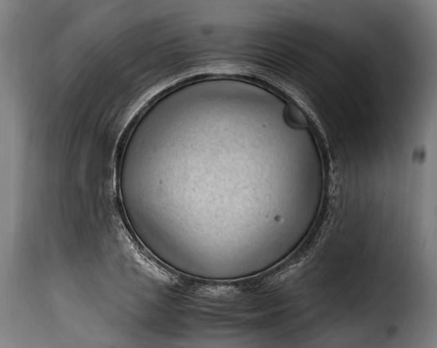 X0000115640837200911241709