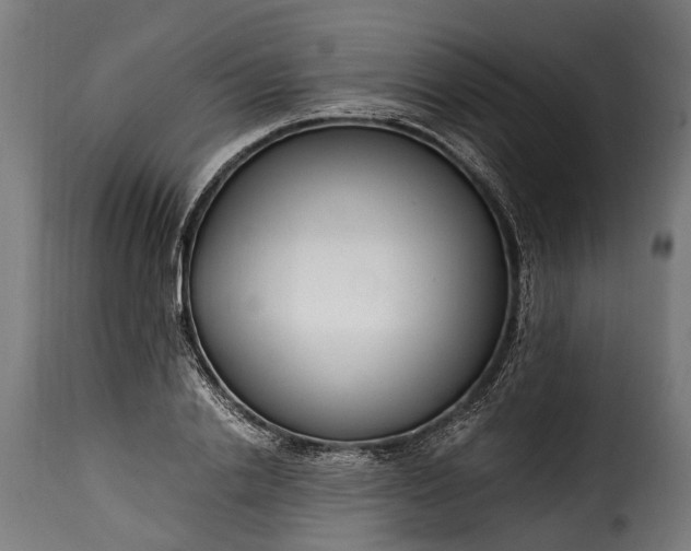 X0000115640838200911241709