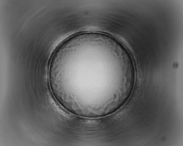 X0000115640839200911241709