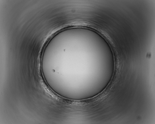 X0000115640840200911241709