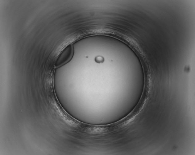 X0000115640841200911241709