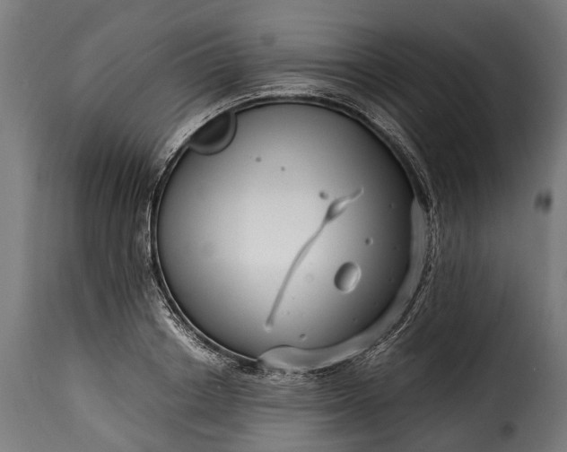 X0000115640842200911241709