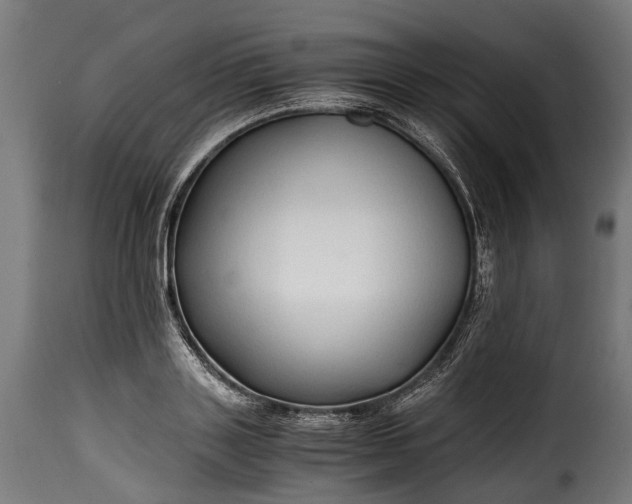 X0000115640843200911241709