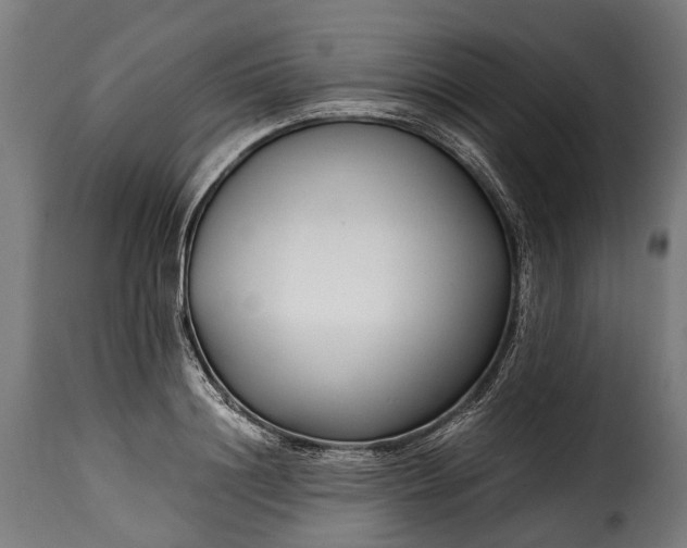 X0000115640844200911241709