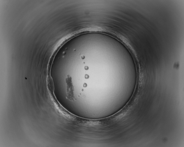 X0000115640845200911241709