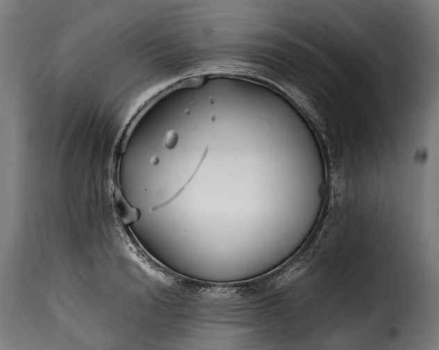 X0000115640846200911241709