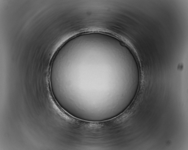 X0000115640847200911241709