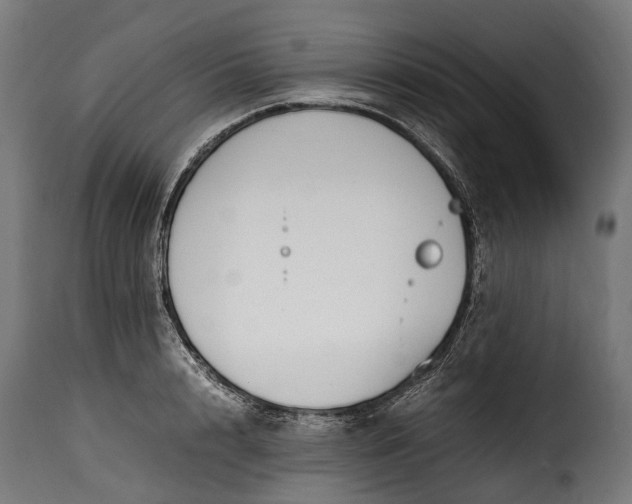 X0000115640848200911241709