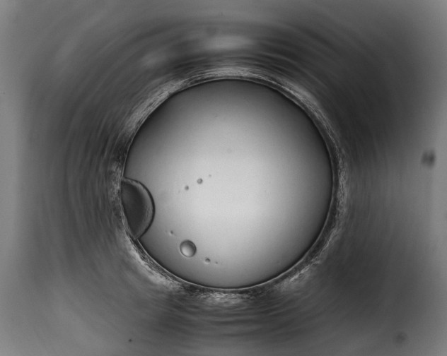 X0000115640849200911241709