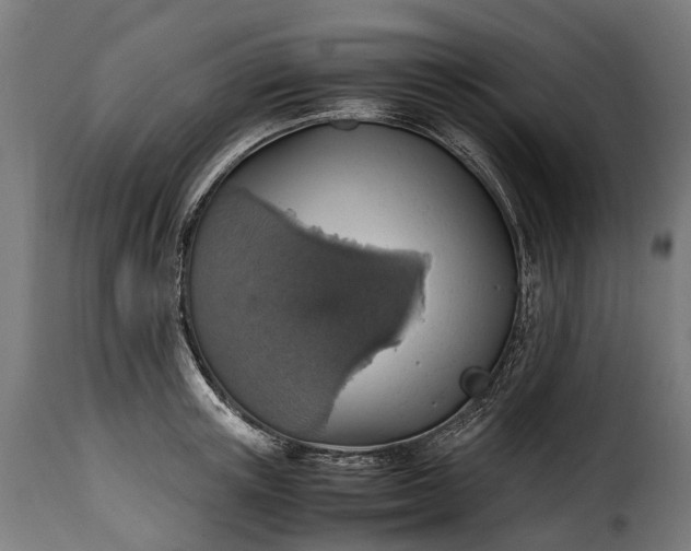 X0000115640851200911241709