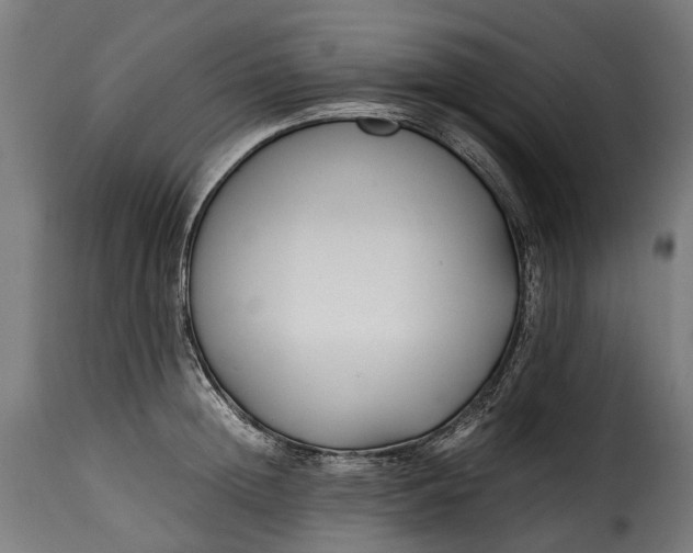 X0000115640852200911241709