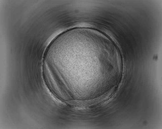 X0000115640853200911241709