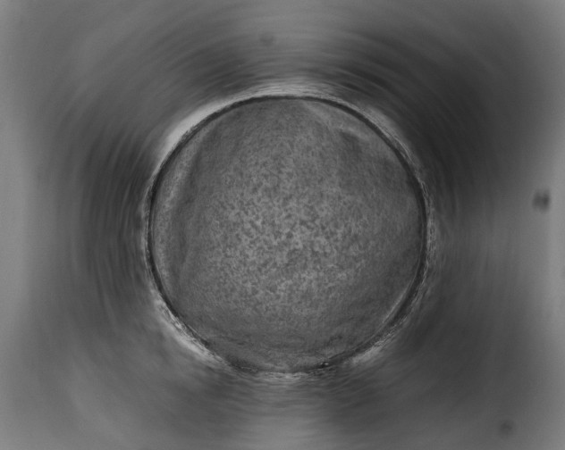 X0000115640854200911241709