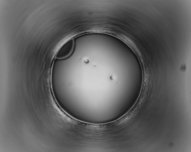 X0000115640855200911241709