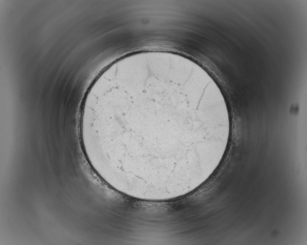 X0000115640856200911241709