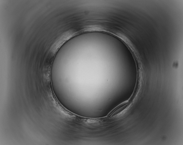 X0000115640857200911241709