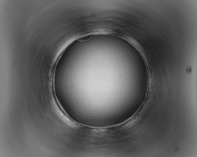 X0000115640859200911241709