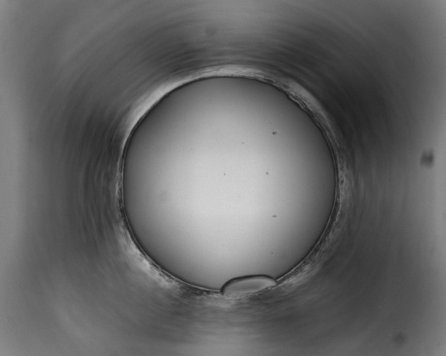 X0000115640860200911241709