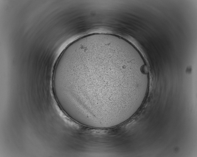 X0000115640861200911241709