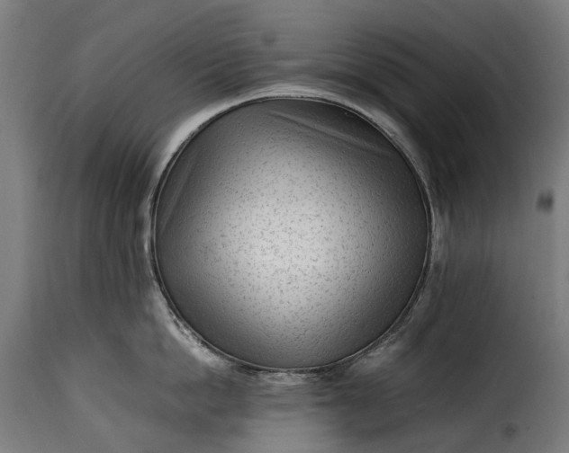 X0000115640862200911241709