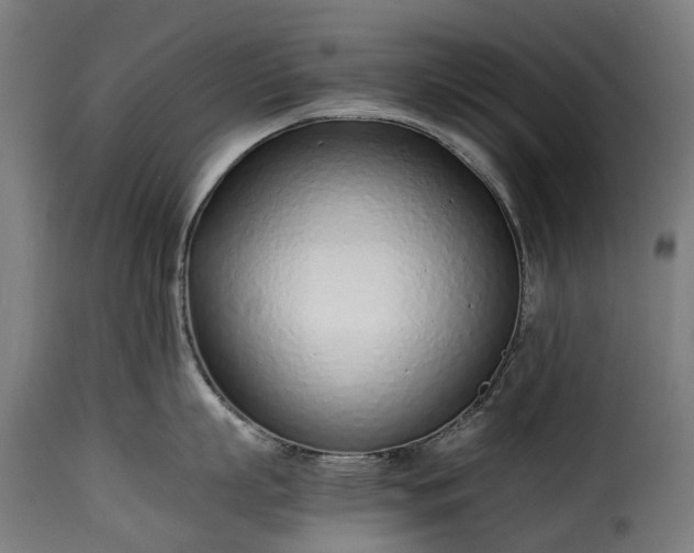 X0000115640863200911241709