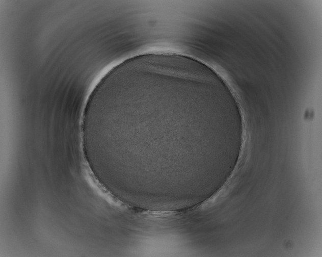 X0000115640864200911241709