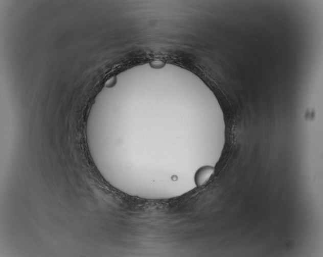 X0000115640865200911241708