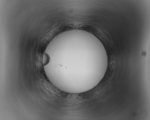 X0000115640866200911241708