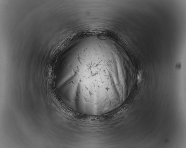 X0000115640867200911241708