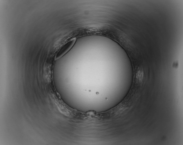 X0000115640868200911241708